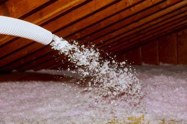 Best Geographic-Specific Insulation Services in Pembroke, VA