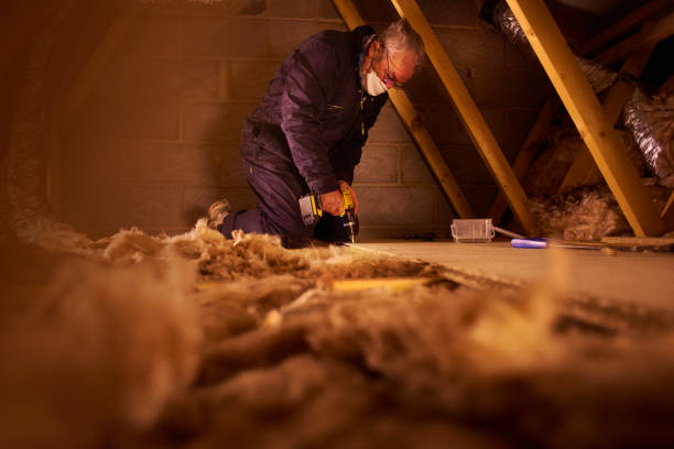 Best Cellulose Insulation in Pembroke, VA